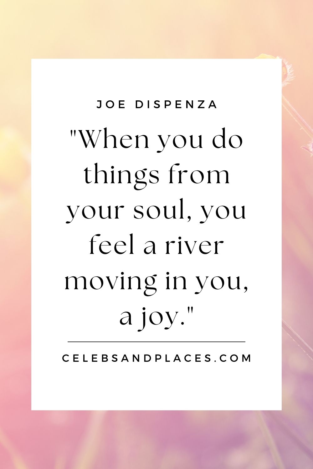 Joe Dispenza quote - When you do things from your soul, you feel a river moving in you, a joy