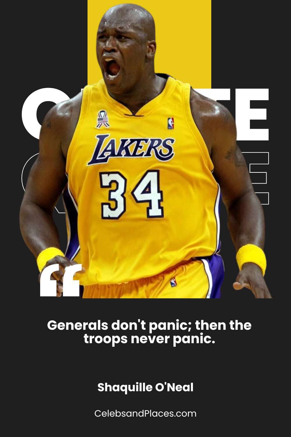 Generals dont panic then the troops never panic. – Shaquille O’Neal