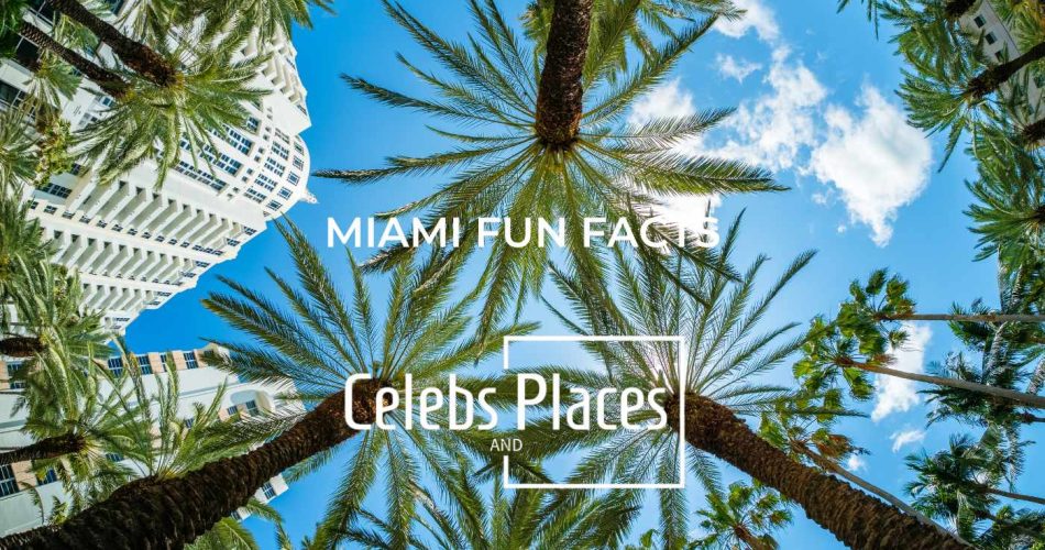 Miami FUN FACTS