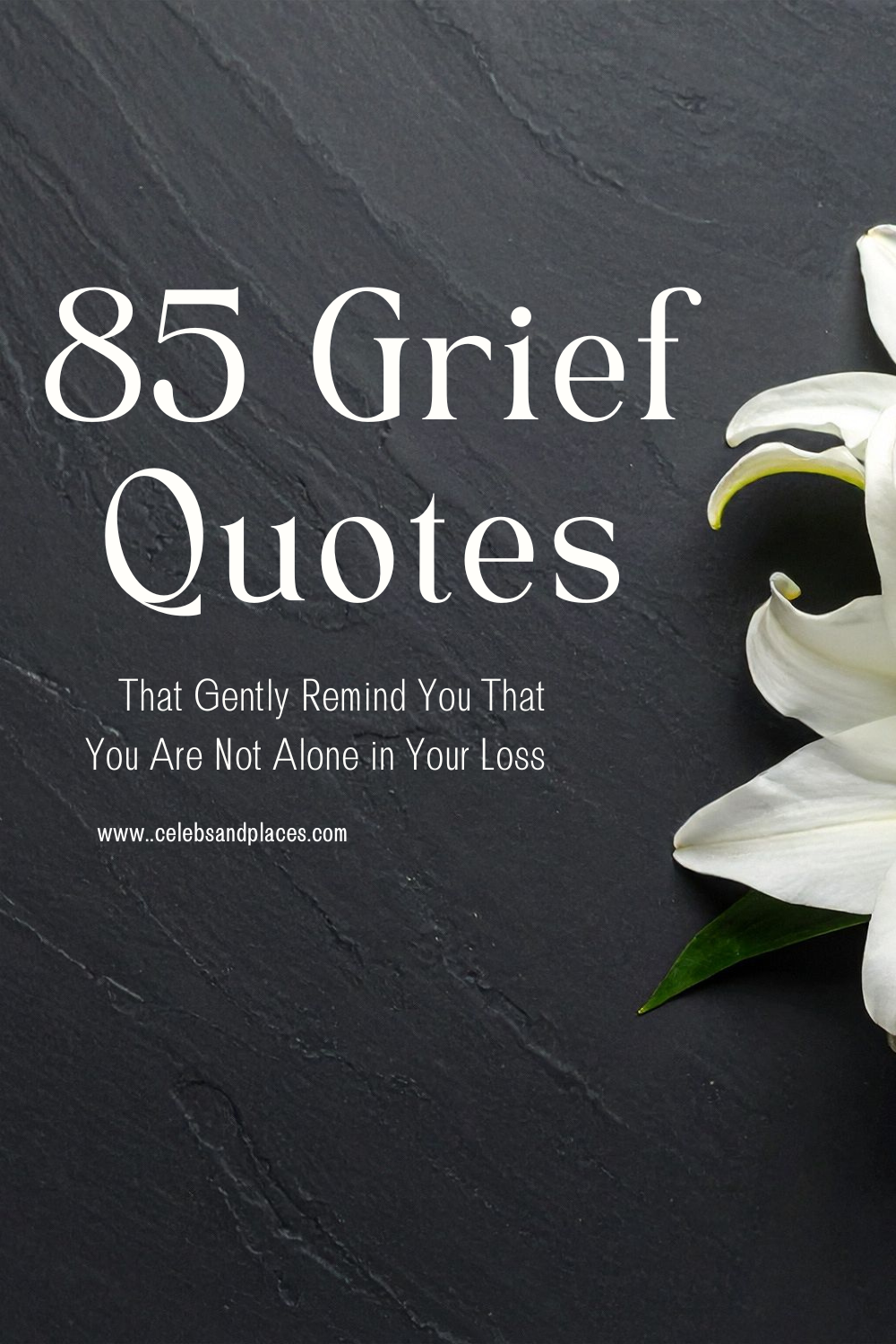 Grief Quotes