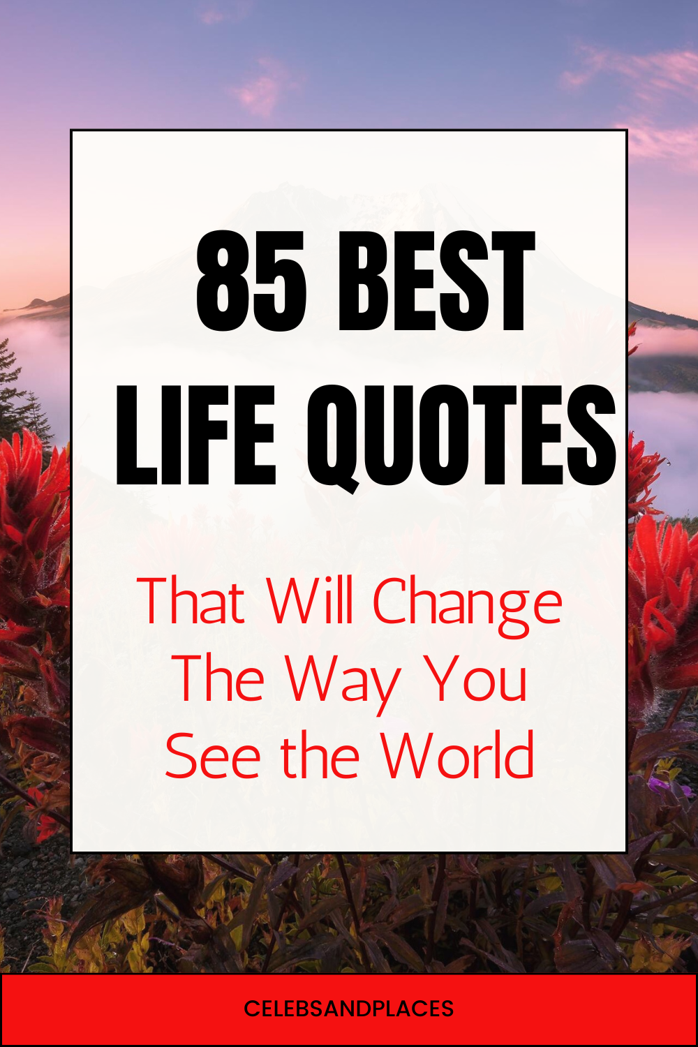 Life Quotes