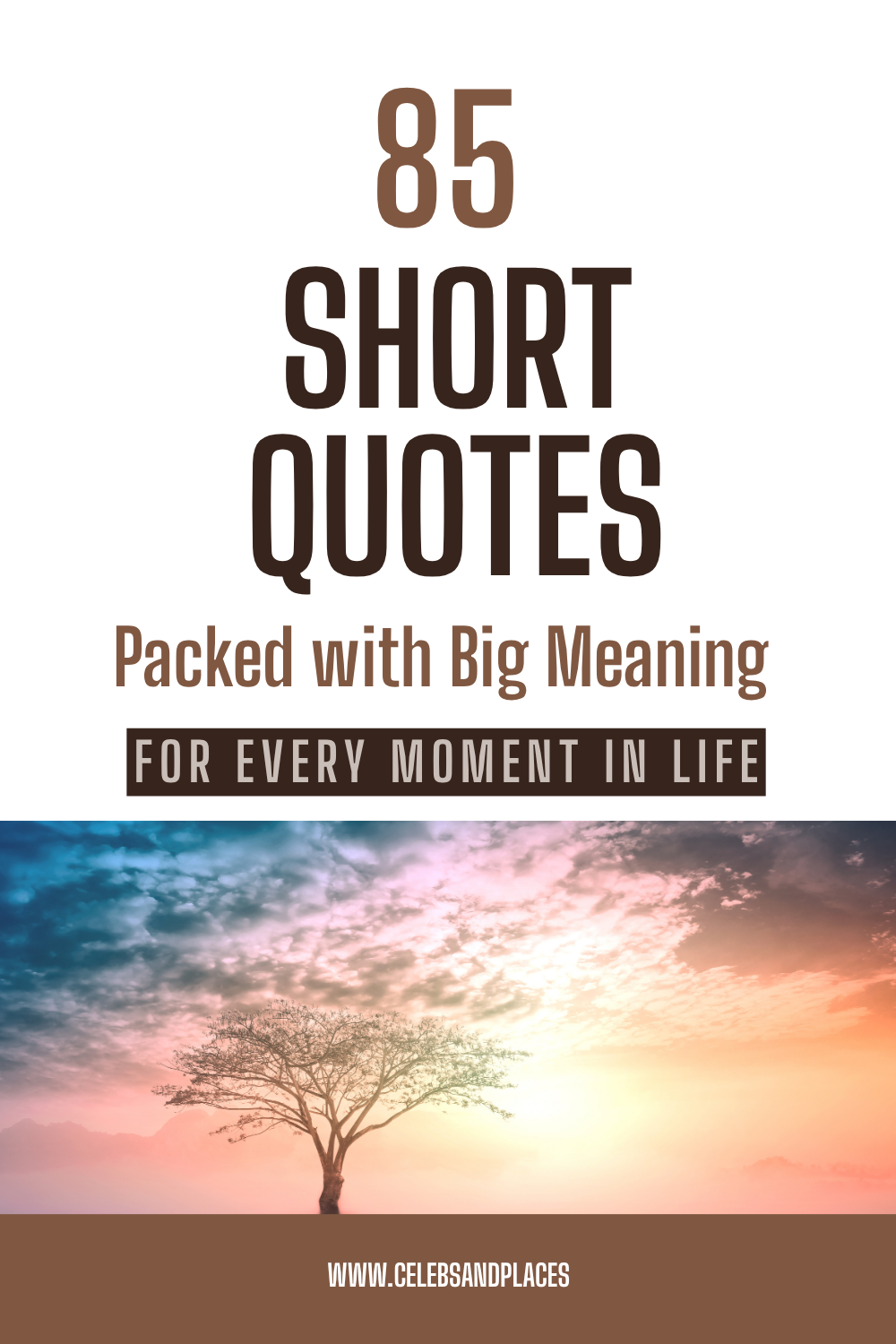 Short Quotes