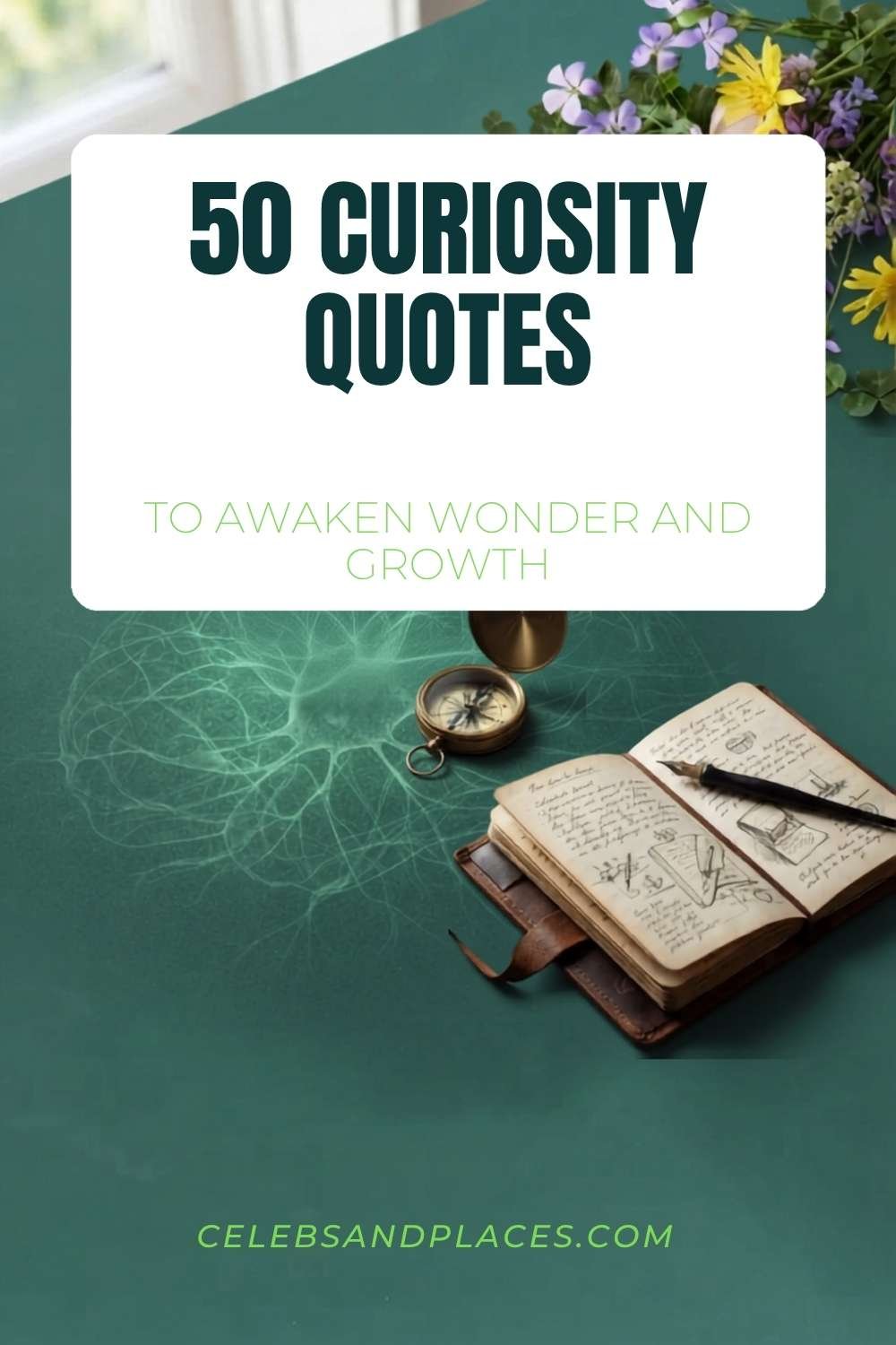 Curiosity Quotes to Awaken Wonder and Growth