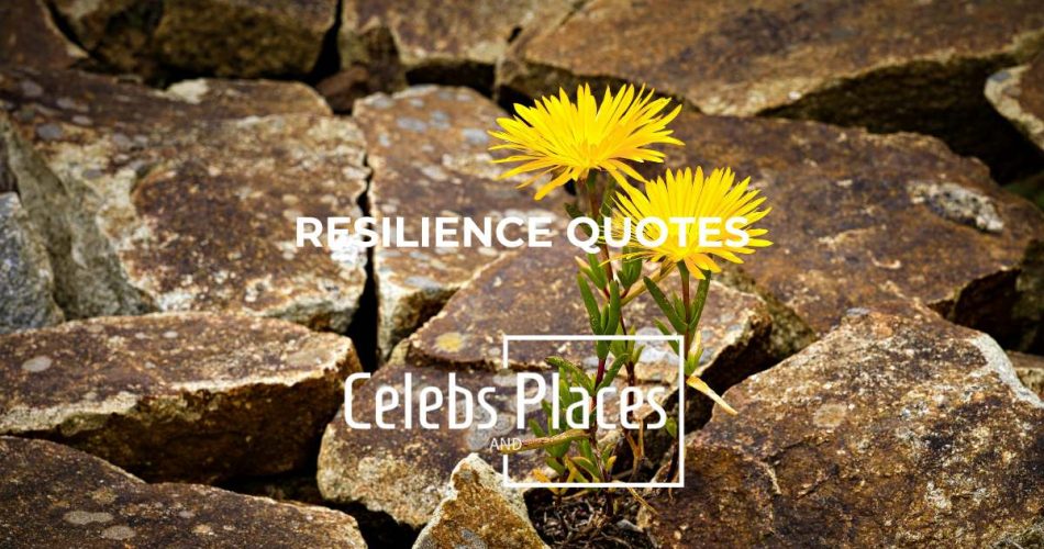 Resilience Quotes