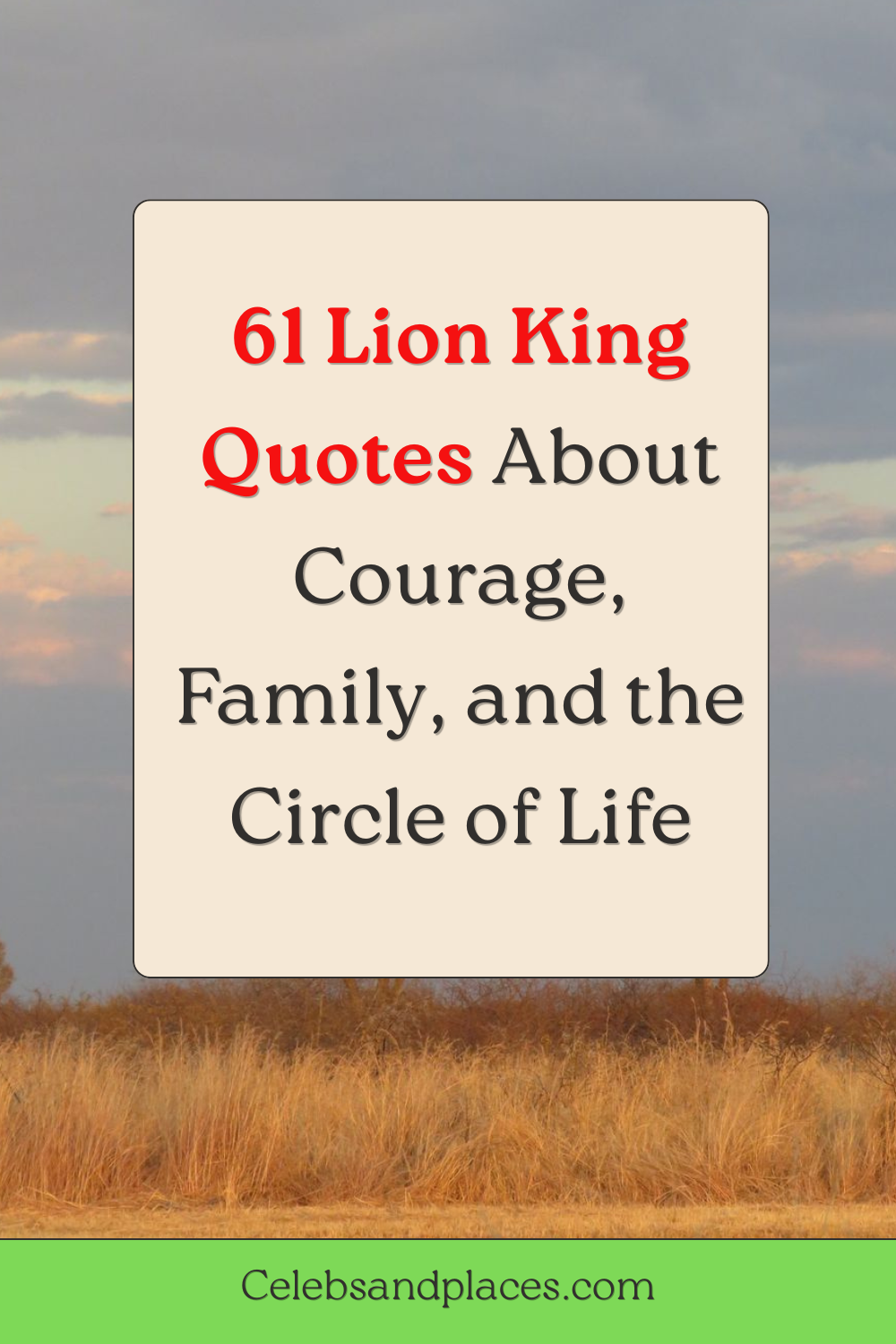 Lion King Quotes